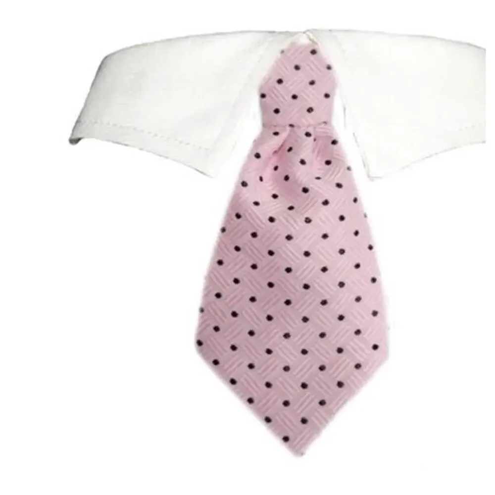 Pooch outfitters pink Elliot shirt collar